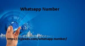 Whatsapp Number